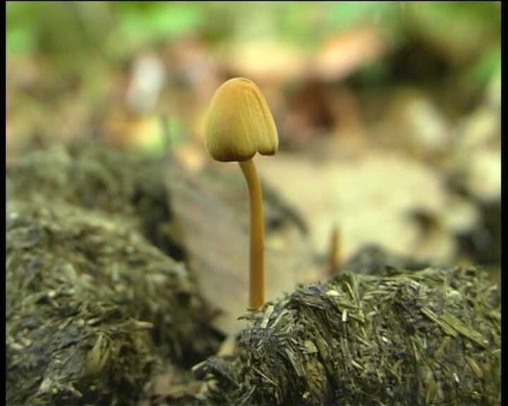 Winkel ( FRA ) 28.08.2004   2 Serie